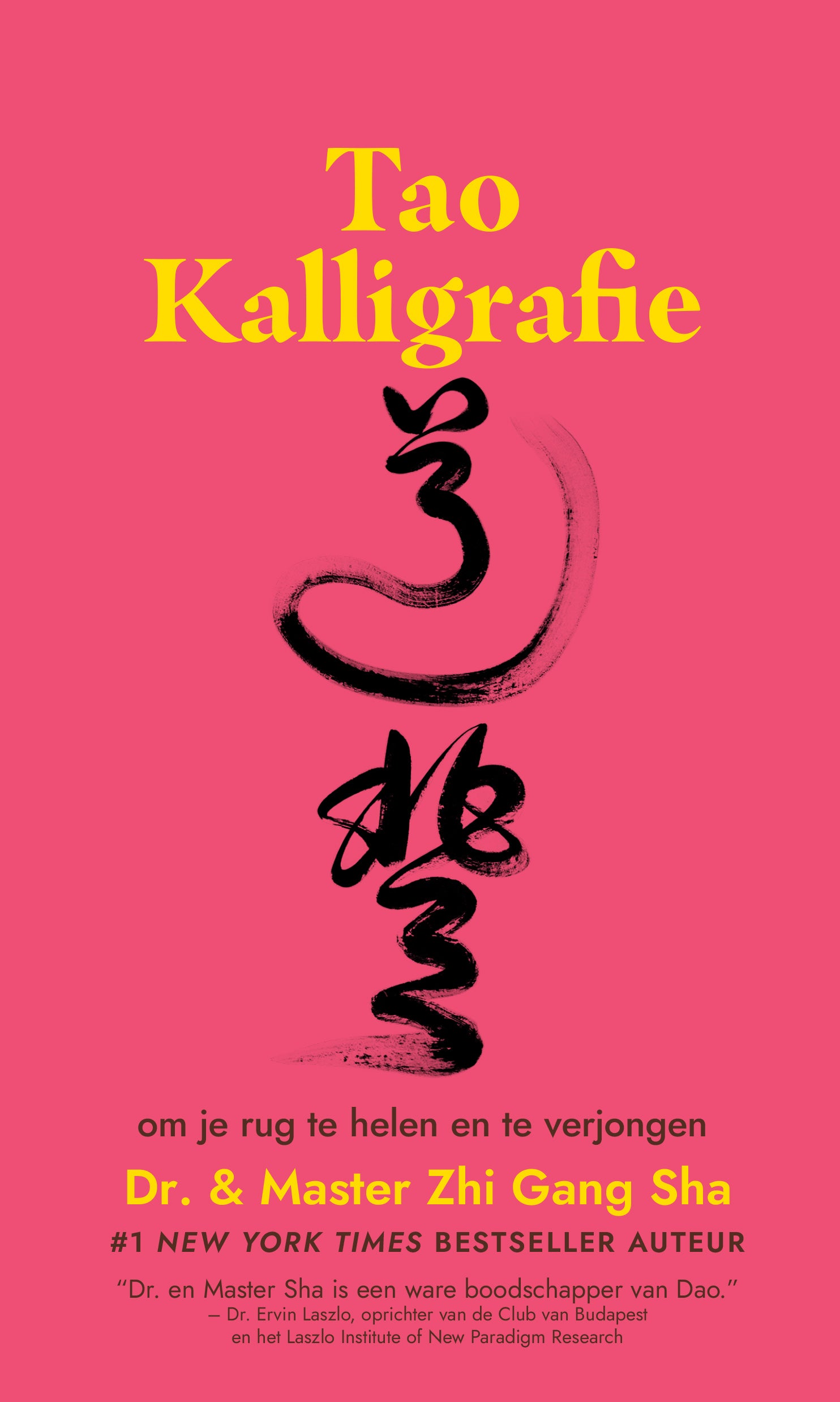 Tao Kalligrafie om je rug te genezen en te verjongen – Nederlands (paperback)